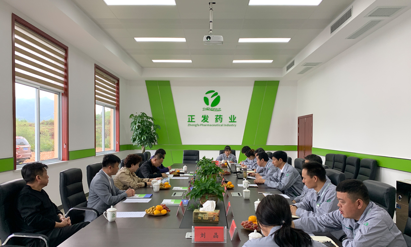 正發藥業順利通過北京振東康遠制藥有限公司質量審計-以產品促合作,以雙贏共發展
