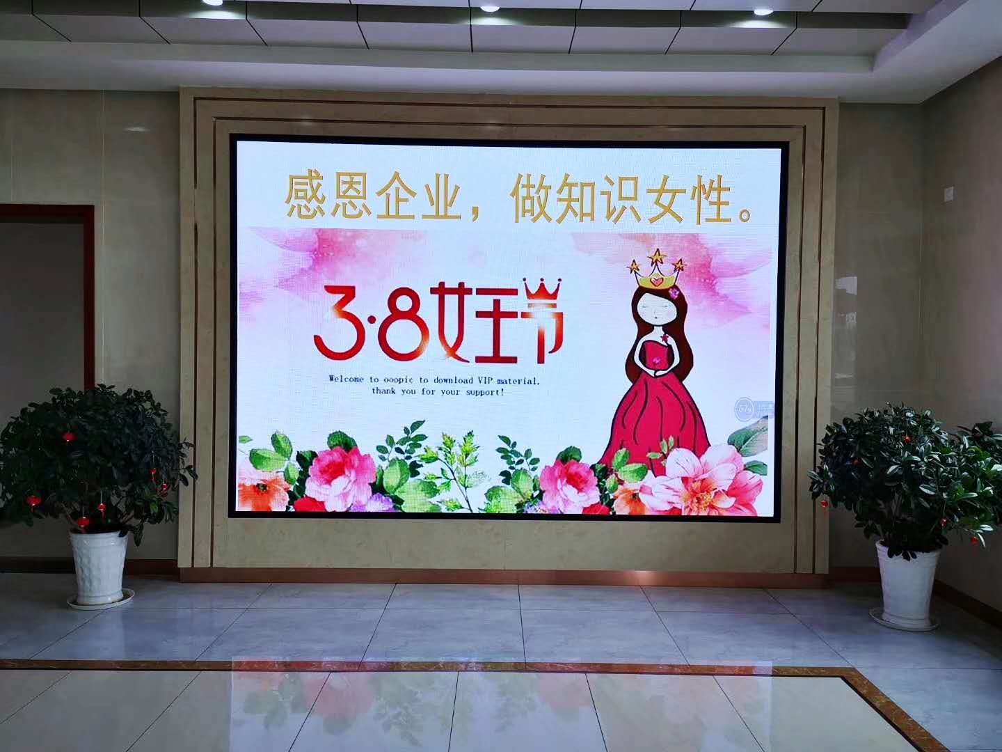 暖心女王節(jié)